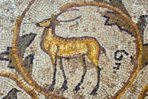 Images Dated 22nd June 2010: Deer mosaic, New House Of Hunt, Bulla Regia Archaeological Site, Tunisia
