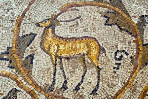 Deer mosaic, New House Of Hunt, Bulla Regia Archaeological Site, Tunisia