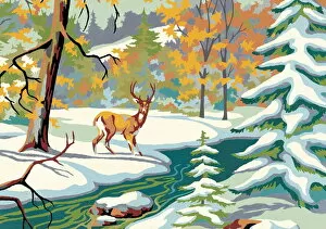 Images Dated 2003 April: Deer in the snow
