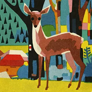 Woods Gallery: Deer in the Woods