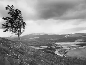 World Europe T Prints: Deeside Valley