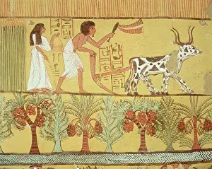 Whip Prints: Deir el-Medina, Thebes, Egypt