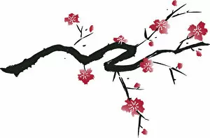Flower Art Collection: Delicate Cherry Blossom Illustration