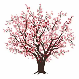 Flower Art Collection: Delicate Cherry Blossom Tree Illustration