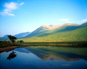Images Dated 2nd April 2017: Delphi, Co Mayo, Ireland