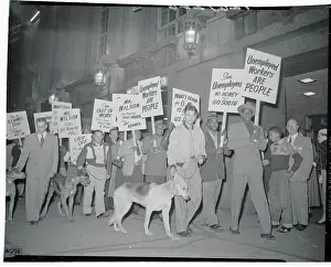 Desegregation Prints: Demonstrators Carrying Their Picket Signs