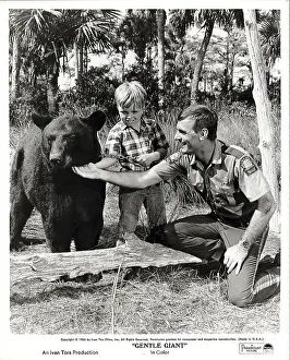 Petting Prints: Dennis Weaver And Boy Petting Black Bear