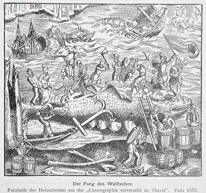 Whale Prints: Der Fang des Walfisches. Illustration