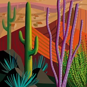 Images Dated 21st July 2017: Desert, Cactus, Mountains Landscape Illustration in Square Format
