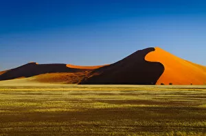 Images Dated 11th December 2009: Desert Dunes at Sunset