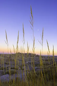 Images Dated 16th February 2006: Desert grass against sandstone formations, dusk, autumn