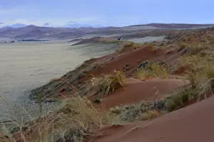Desert Sand Prints: Desert landscape, Namib, Hardap Region, Namibia