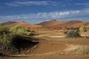 Images Dated 17th April 2013: Desert landscape, Namib, Hardap Region, Namibia