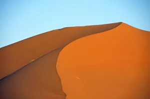 Images Dated 15th May 2010: Desert, sand dune of Erg Chebbi, Morocco, Africa