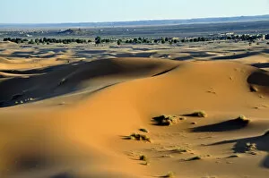 Images Dated 15th May 2010: Desert, sand dune of Erg Chebbi, Morocco, Africa