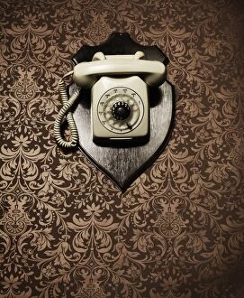 Images Dated 9th April 2016: Desk telephone hanging as a trophy on a wall