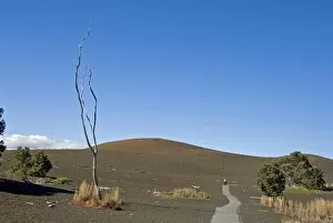Big Island Gallery: Devastation Trail through lava landscape, Hawaii Volcanoes National Park, Kilauea, Big Island
