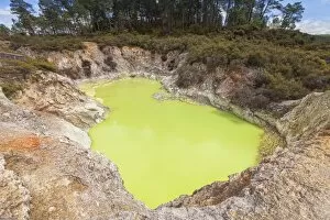 Images Dated 18th October 2013: The Devils Bath, a pool of sulphurous water in the Waiotapu thermal area in the Taupo Volcanic Zone