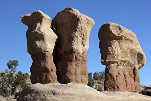 Monuments Prints: Devils Garden, Arches National Park, Utah, USA, America