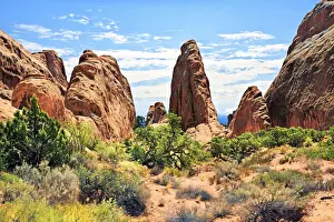 Devils Garden with sandstone cliffs formed by erosion, Arches-Nationalpark, near Moab, Utah, United States