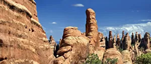 Devils Garden with stone pinnacles of red Navajo sandstone formed by erosion, Arches-Nationalpark, near Moab, Utah