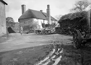 Haystack Prints: Devon Lane