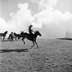 Working An Prints: Devon's Cowboy