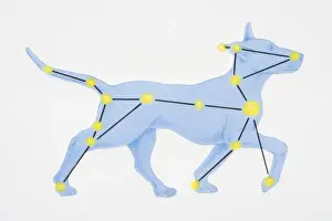 Southern Prints: A diagram illustrating the constellation of Canis Major complete with image of dog