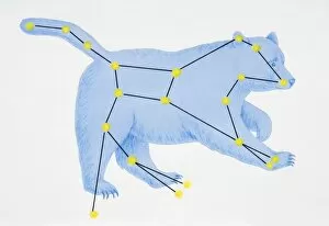 Images Dated 9th June 2006: A diagram illustrating the constellation of Ursa Major complete with image of a bear