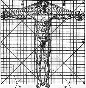 Architect Prints: Diagram Of Man'S Proportions; On Graph