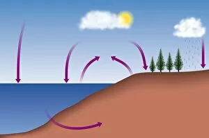 Images Dated 27th November 2006: Diagram showing the carbon cycle, digital illustration