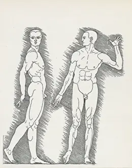 Diagram Showing Male Human Body Proportions