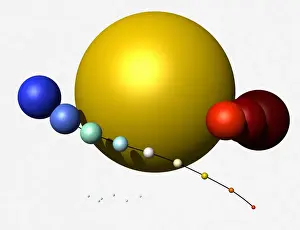 Universe Prints: Diagram showing size of stars from white dwarfs to super giants, digital illustration
