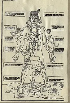 Zodiac Sign Prints: Diagram of Zodiacal Signs on Male Body