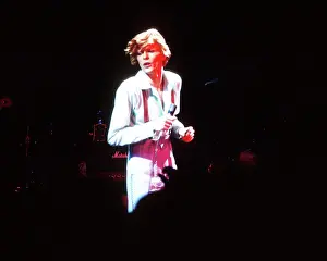 Diamond Dogs Tour