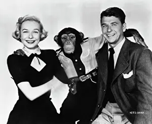 Chimpanzee Prints: Diana Lynn, Bonzo, and Ronald Reagan in Bedtime for Bonzo