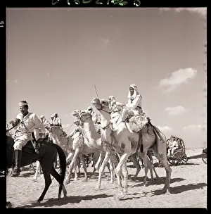 Khartoum Prints: Diana MacNamara Riding Camel in Film