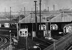 Passenger Train Gallery: Diesel Trains