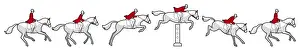 Multiple Image Prints: Different stages of showjumper approaching, jumping and landing