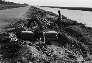 Sandbag Prints: Digging In