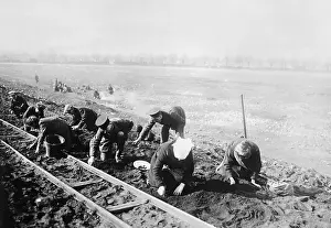 Digging Prints: Digging for Coal by Railroad