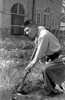 Digging For Victory