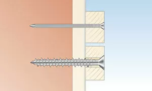 Images Dated 23rd January 2009: Digital cross section illustration of round head masonry nail