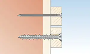Long Prints: Digital cross section illustration of round head masonry nail and flat head screw inserted through timber and wall