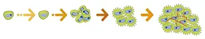 Cancer Prints: Digital illustration of action pathways of anti-cancer agents