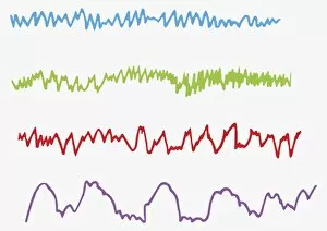 Digital illustration of alpha, beta, theta and delta brain waves