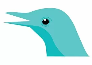 Digital illustration bird head showing straight, insect-eating beak