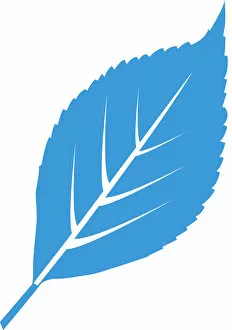 Images Dated 1st December 2010: Digital illustration of blue leaf on white background