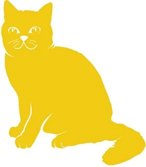 Images Dated 9th May 2011: Digital illustration of bright yellow cat on white background