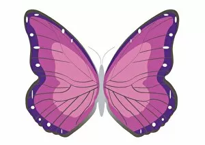 Digital illustration butterfly with spread wings